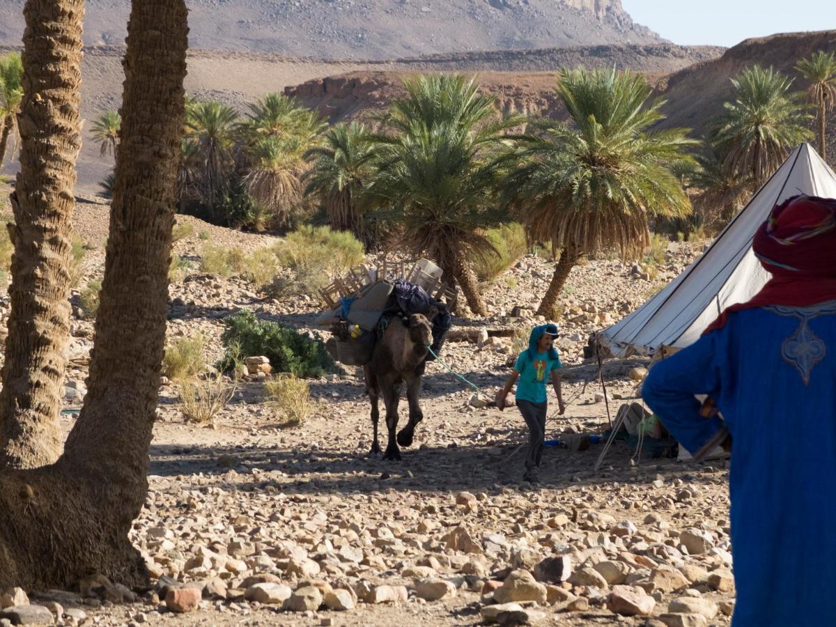 מלון Bivouac Les Nomades & Foum Zguid To Chegaga Tours מראה חיצוני תמונה