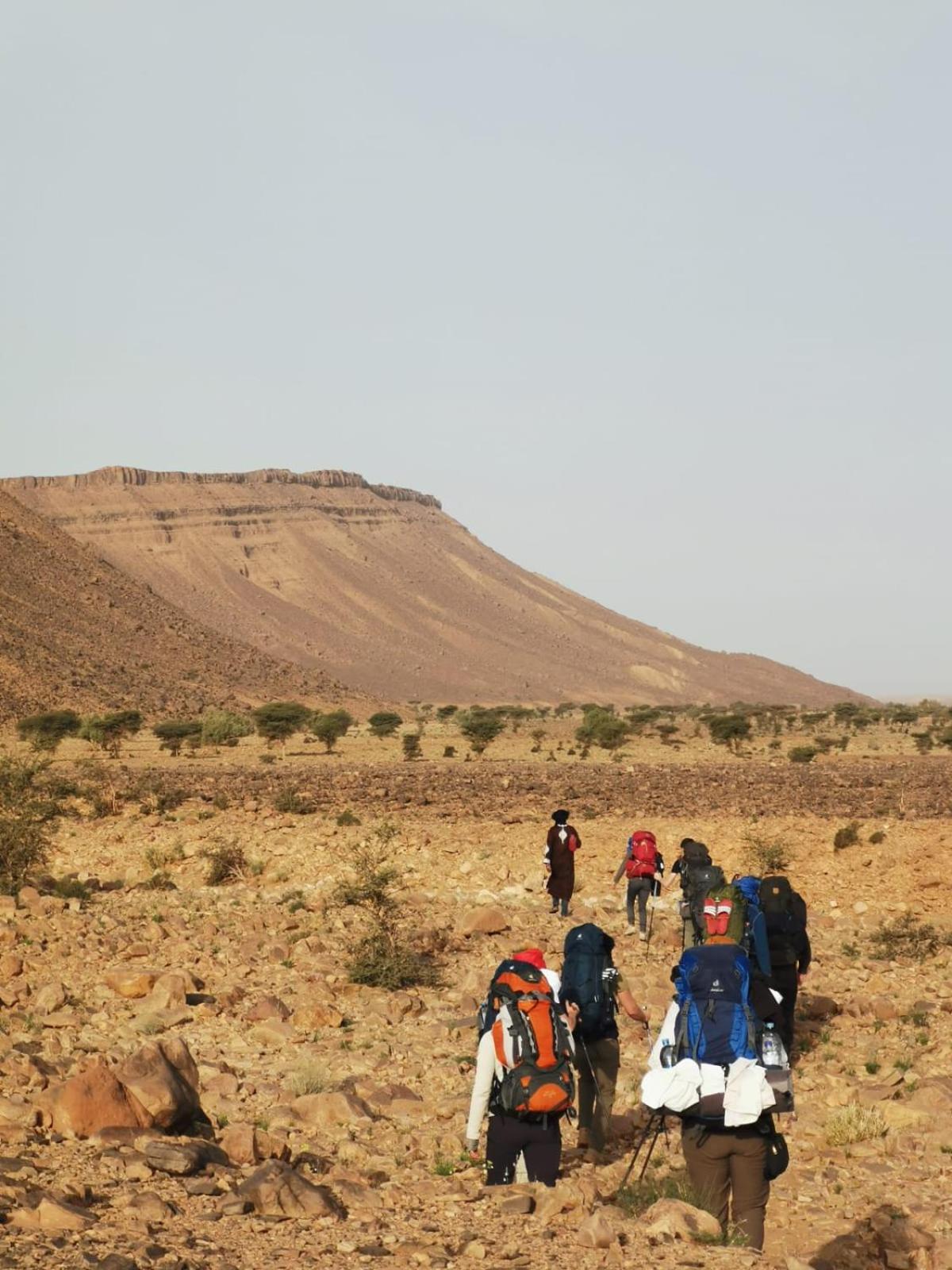 מלון Bivouac Les Nomades & Foum Zguid To Chegaga Tours מראה חיצוני תמונה