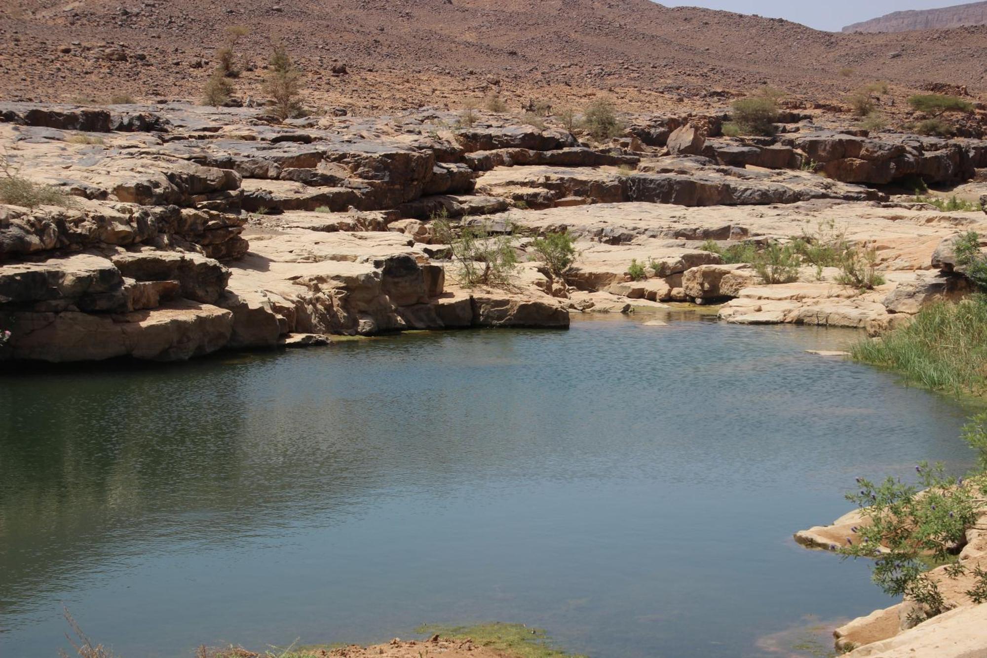 מלון Bivouac Les Nomades & Foum Zguid To Chegaga Tours מראה חיצוני תמונה