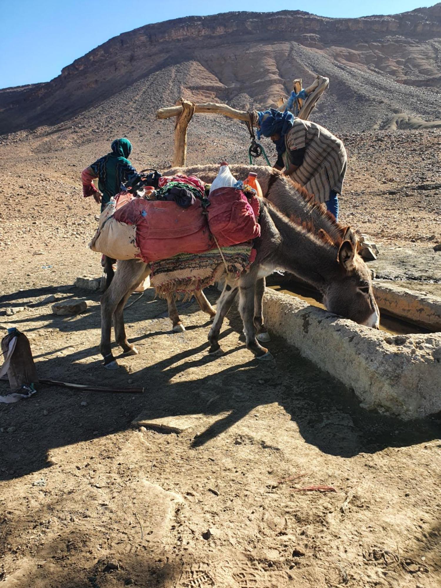 מלון Bivouac Les Nomades & Foum Zguid To Chegaga Tours מראה חיצוני תמונה