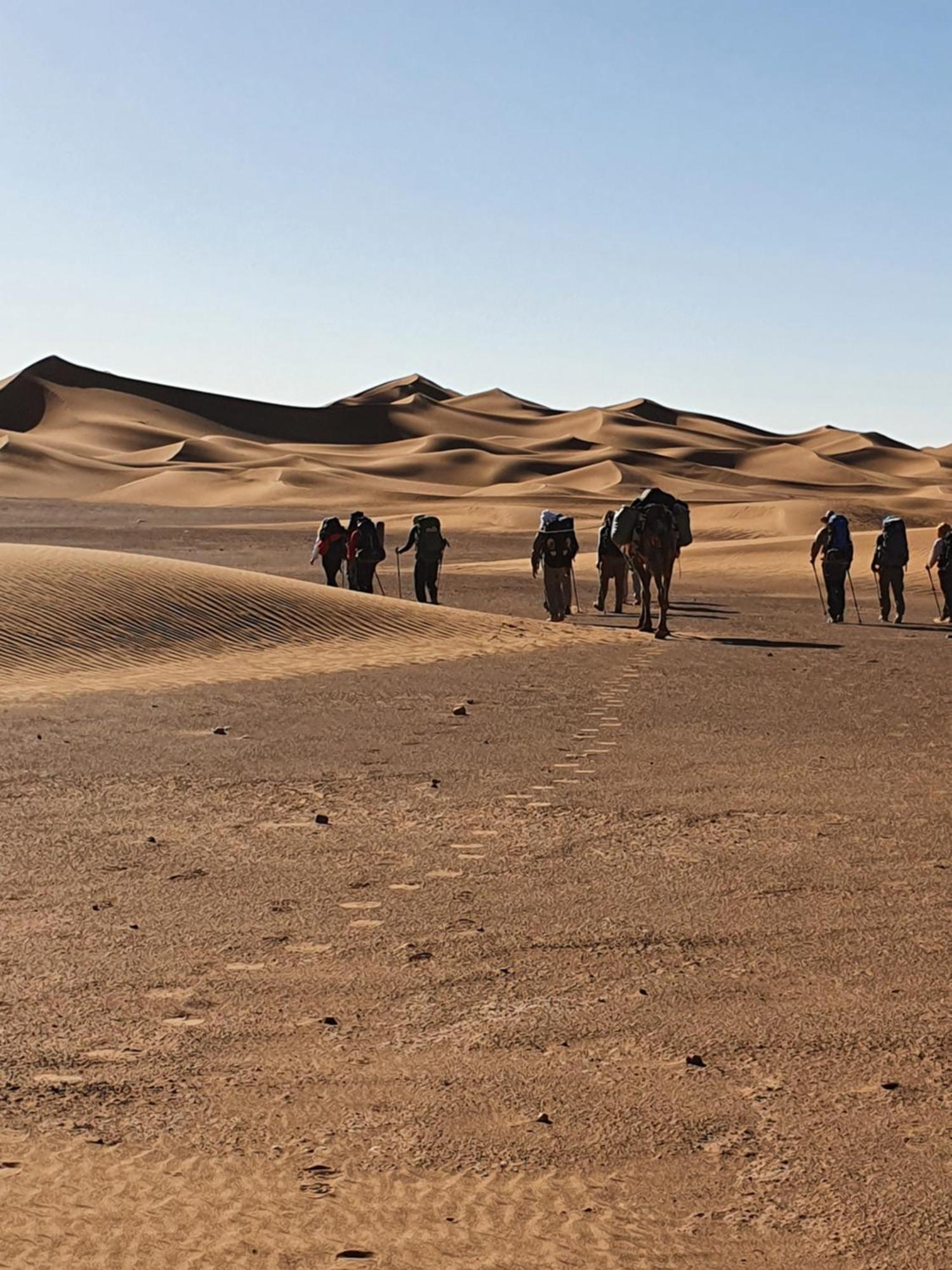 מלון Bivouac Les Nomades & Foum Zguid To Chegaga Tours מראה חיצוני תמונה