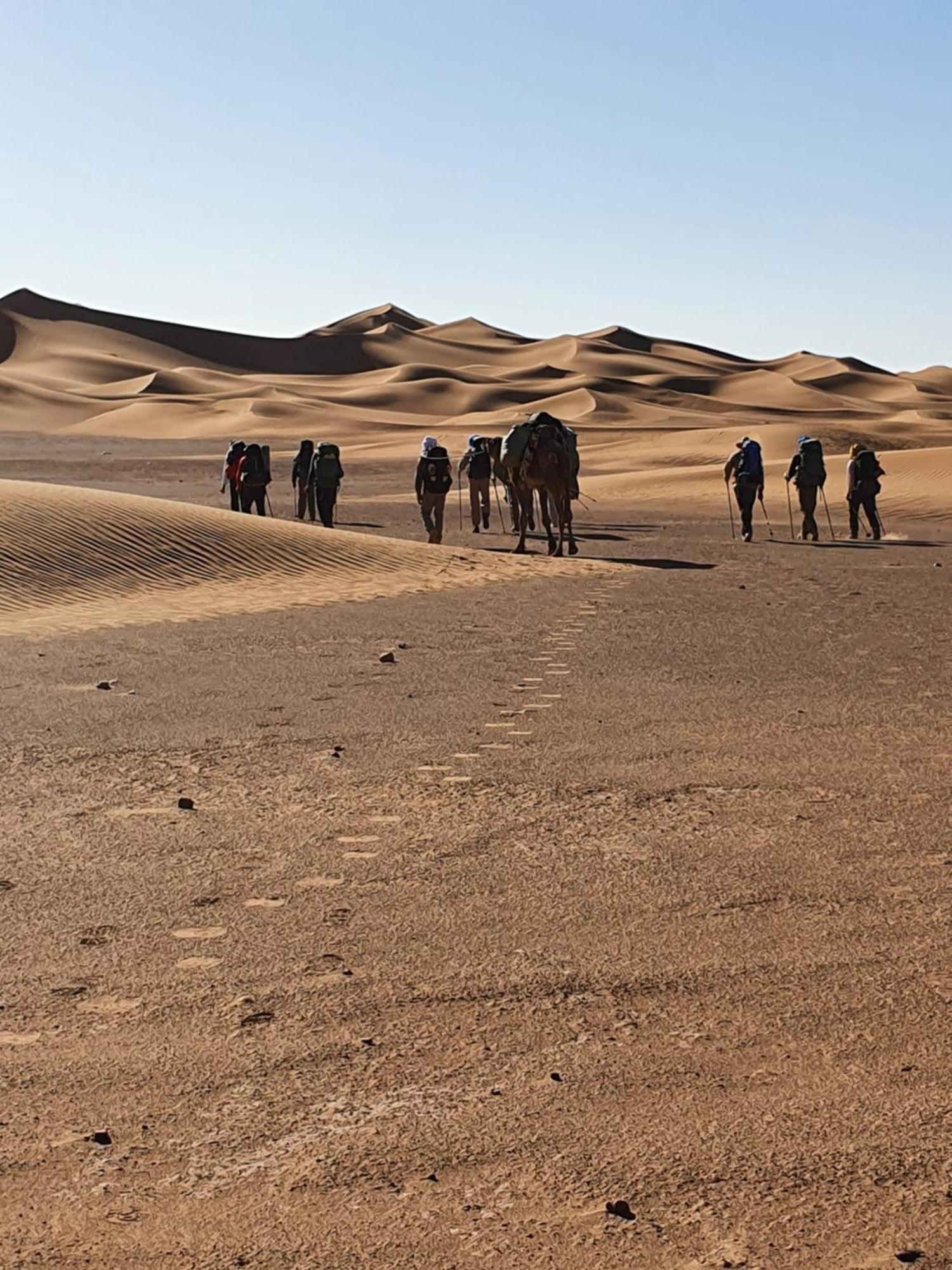 מלון Bivouac Les Nomades & Foum Zguid To Chegaga Tours מראה חיצוני תמונה