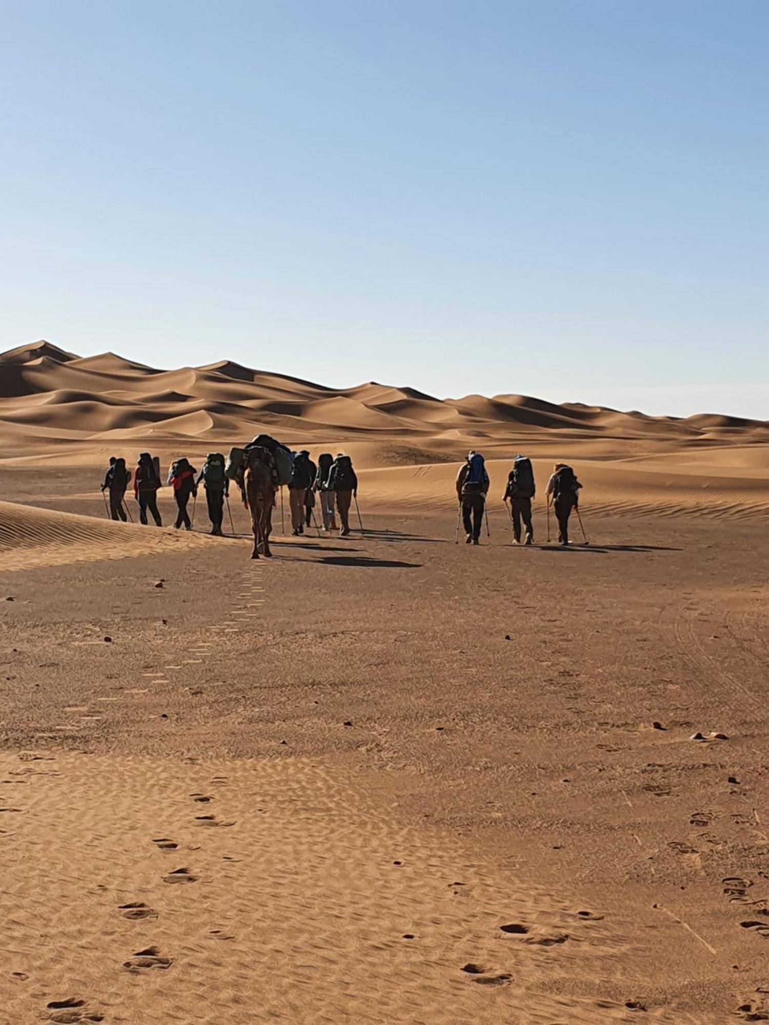 מלון Bivouac Les Nomades & Foum Zguid To Chegaga Tours מראה חיצוני תמונה