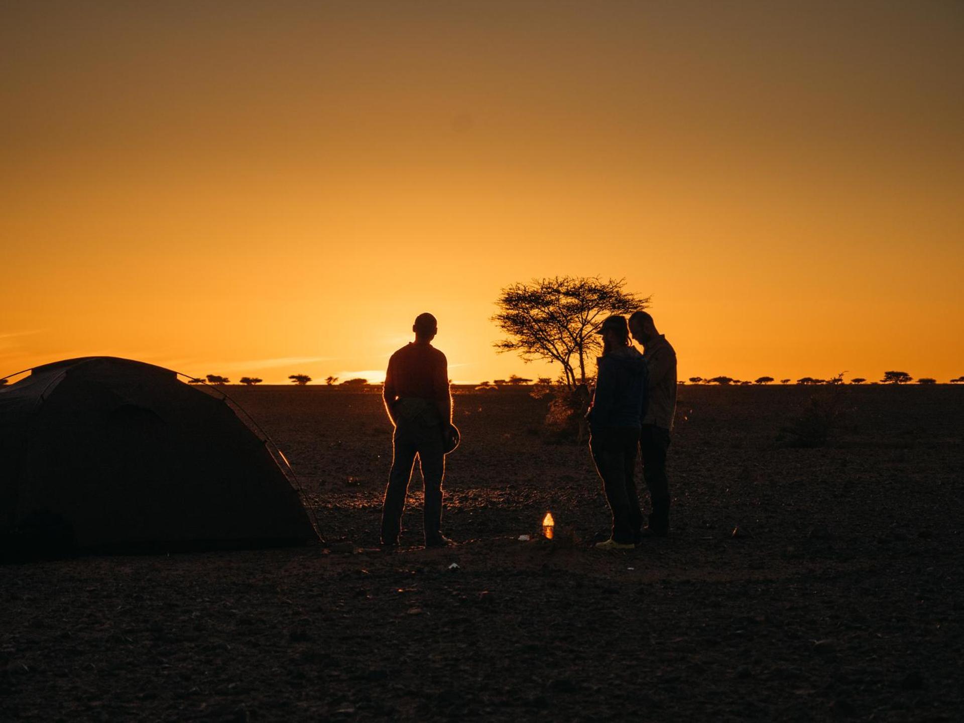 מלון Bivouac Les Nomades & Foum Zguid To Chegaga Tours מראה חיצוני תמונה